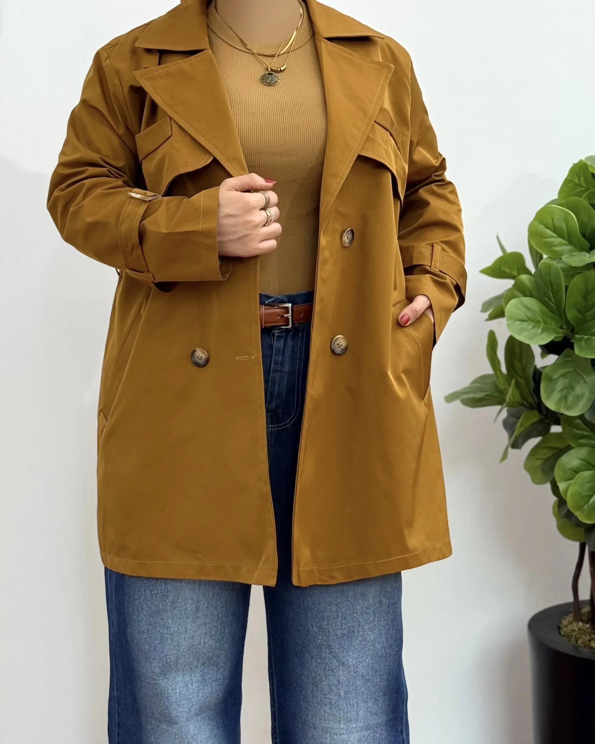 بارونی قاصدک